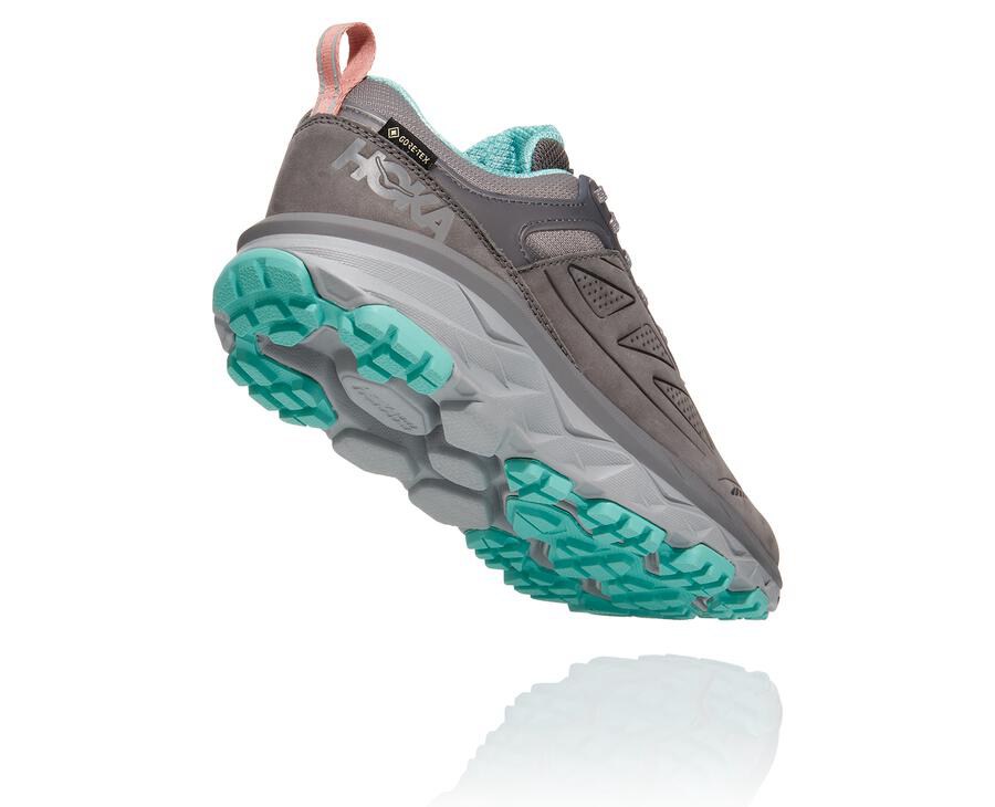 Tenis Trail Hoka One One Feminino Cinzentas - Challenger Baixo Gore-Tex - 765-NAEUZB